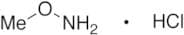 Methoxylamine Hydrochloride