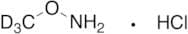 Methoxyl-d3-amine Hydrochloride