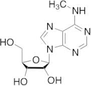 N6-Methyladenosine