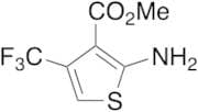 Methyl 2-Amino-4-trifluoromethylthiophene-3-carboxylate