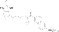 Methyl N-Biotinyl-6-amino-2-naphthonate