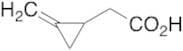 2-Methylenecyclopropaneacetic Acid