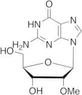 2'-O-Methyl Guanosine
