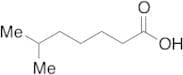 6-Methylheptanoic Acid (>90%)