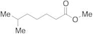 6-Methylheptanoic Acid Methyl Ester