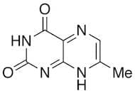 7-Methyl Lumazine
