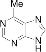 6-Methylpurine