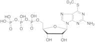 6-Methylthioguanosine Triphosphate-d3
