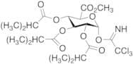 Methyl 2,3,4-Tri-O-isobutyryl-1-O-trichloroacetimidoyl-α-D-glucopyranuronate