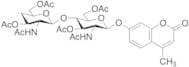 4-Methylumbelliferyl 4-Deoxy-b-D-chitobiose Peracetate
