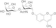 4-Methylumbelliferyl 2-Acetamido-2-deoxy-3-O-(β-D-galactopyranosyl)-α-D-galactopyranoside