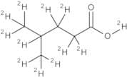4-Methylpentanoic Acid-d12