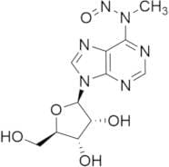 N6-Methyl-N6-Nitroso Adenosine