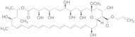 13-O-Methyl-amphoteronolide B 2-Propen-1-yl Ester