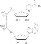 b-NADH Disodium Salt