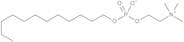 n-Dodecylphosphocholine