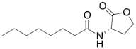 N-Octanoyl-L-homoserine lactone
