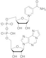 Nicotinamide 1,N6-Ethenoadenine Dinucleotide