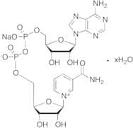 β-Nicotinamide Adenine Dinucleotide Sodium Salt Hydrate