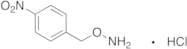 O-4-Nitrobenzylhydroxylamine Hydrochloride