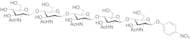 p-Nitrophenyl Penta-N-acetyl-β-chitopentaoside