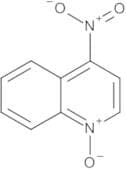 4-Nitroquinoline N-Oxide