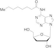 N6-Octanoyl Cordycepin