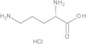 L-Ornithine Hydrochloride