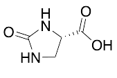 (4S)-2-oxoimidazolidine-4-carboxylic Acid