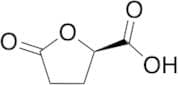 (R)-5-Oxotetrahydrofuran-2-carboxylic Acid