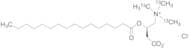 Palmitoyl-L-carnitine-13C3 Hydrochloride