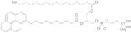 1-Palmitoyl-2-pyrenedecanoylphosphatidylcholine