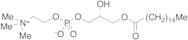 1-Palmitoyl-sn-glycero-3-phosphocholine