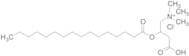 Palmitoyl-DL-carnitine chloride