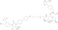 O1-(ABM-14 ether), O4-(Methylcarboxamide with AHPC) Butanediol