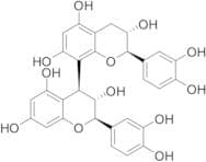 Procyanidin B3