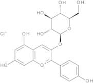 Pelargonidin 3-Glucoside (>90%)