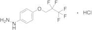 [4-(2,2,3,3,3-pentafluoropropoxy)phenyl]hydrazine Hydrochloride