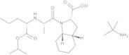 Perindoprilat Isopropyl Ester tert-Butylamine Salt