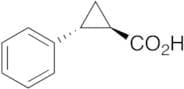 rac trans-2-Phenylcyclopropanecarboxylic Acid