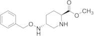 (2S,5R)-5-[(Phenylmethoxy)amino]-2-piperidinecarboxylic Acid Methyl Ester