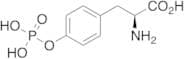 O-Phospho-L-tyrosine