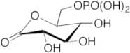 6-Phospho-L-Glucono-δ-Lactone