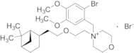 Trans-Pinaverium Bromide