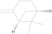 (+)-β-Pinene