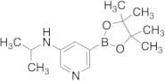 N-(1-Methylethyl)-5-(4,4,5,5-tetramethyl-1,3,2-dioxaborolan-2-yl)-3-pyridinamine
