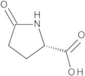 L-Pyroglutamic Acid