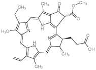 Pheophorbide A (>80%) (mixture of diastereomers)