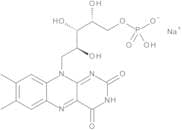 Riboflavin Phosphate Sodium Salt (~70%)