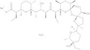 Salinomycin Sodium Salt